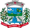 Official seal of Saltinho, Santa Catarina