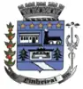 Official seal of Pinheiral