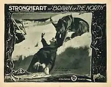 Lobby card"She was slipping over the precipice when the dog caught her": Irene Rich and Strongheart