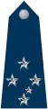 Marshal of the Air (Marechal do Ar) (Brazil)