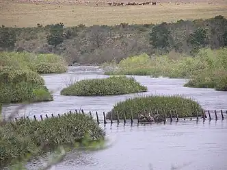 Breede River in the park