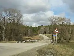 Bridge over the Barlak River, Novosibirsky District