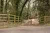 Galley Down Wood