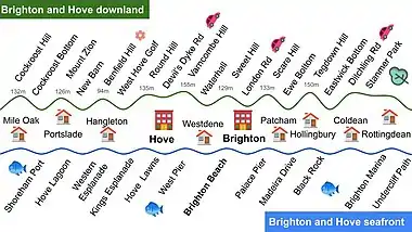 Image 26Brighton and Hove downland and seafront (from Brighton and Hove)