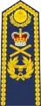 Marshal of the Royal Air Force (shoulder board)