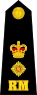 Lieutenant-colonel