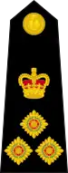 Brigadier