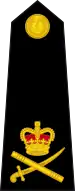 Lieutenant-general