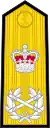 Royal Navy admiral of the fleet (shoulder board)