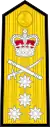 Shoulder board