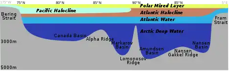 Image 16Distribution of the major water mass in the Arctic Ocean. The section sketches the different water masses along a vertical section from Bering Strait over the geographic North Pole to Fram Strait. As the stratification is stable, deeper water masses are denser than the layers above. (from Arctic Ocean)