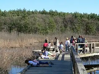 "All Persons Trail" next to the marsh