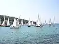 Latin regatta1