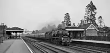 Steam train passing through an almost deserted station, with very tall trees in the background