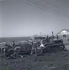 Members of the Kibbutz working in agriculture, 1951. Boris Carmi, Meitar collection, National Library of Israel