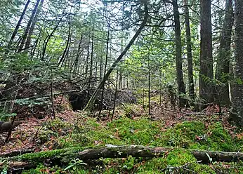 The Brule Glacial Spillway appears much as it did in pre-settlement times