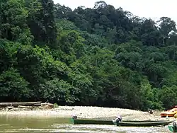 Ulu Temburong National Park