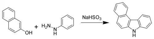 The Bucherer carbazole synthesis