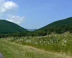 Buffalo Gap is a mountain pass through Little North Mountain