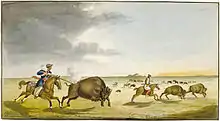 Buffalo Hunting in the summer (1822)