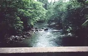 View atop Barit River Bridge, one of  the lake's tributaries