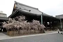 Buddha Light Temple