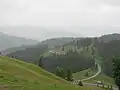 The Carpathian Mountains in Bukovina