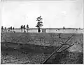 Caddo Lake c. 1910