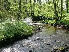 A view of the Burnanne at Bank Wood Bridge.