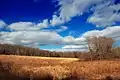 A lightly wooded meadow in Dennison Township