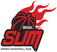 Busan BNK Sum  부산 BNK 썸 logo