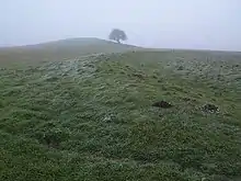 Misty view of Bush Barrow