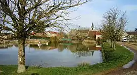 The lake in Cérilly