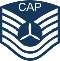 Civil Air Patrol technical sergeant insignia