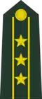 Colonel