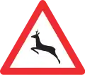 1.24 Wild animals crossing