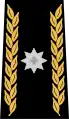 Brigade General