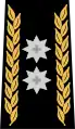 Division General