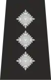 Isle of Man Police Chief Inspector Epaulette