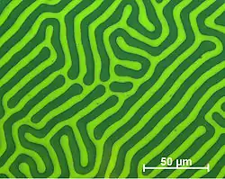 Domain structure of an examplary meander domain (recorded using CMOS-MagView)