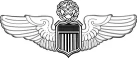 United States Aviator Badge