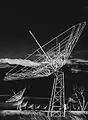 7 of the 96 Antennae of Radioheliograph, c.1968