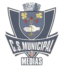 CSM Mediaș logo