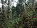 The Laigh Craig Mill ruins from below Lynn Spout. This mill was associated with Kilwinning Abbey, together with Garnock and Sevenacres mills.