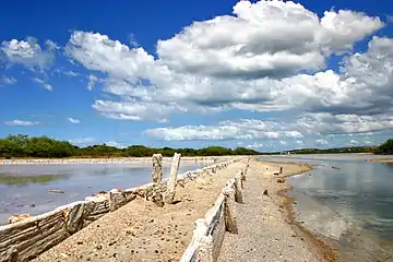 Cabo Rojo Salt Flats