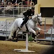 Jumping display over a single upright pole