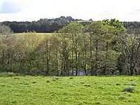 River flanked by trees on either bank