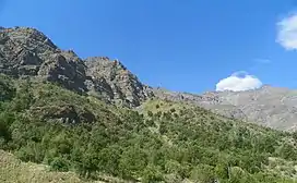Chilean Matorral, an evergreen sclerophyllous scrubland