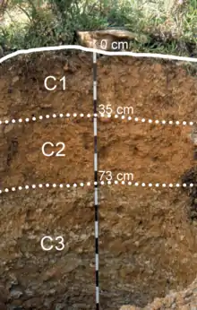 Calcaric Regosol in Luqmuts rangeland (Hech'i)