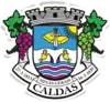 Official seal of Caldas